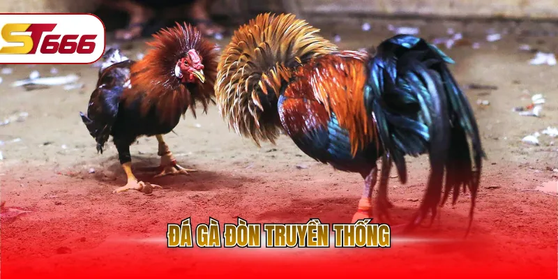 đá gà đòn truyền thống