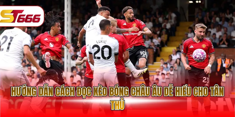 Hướng dẫn cách đọc kèo bóng châu Âu dễ hiểu cho tân thủ