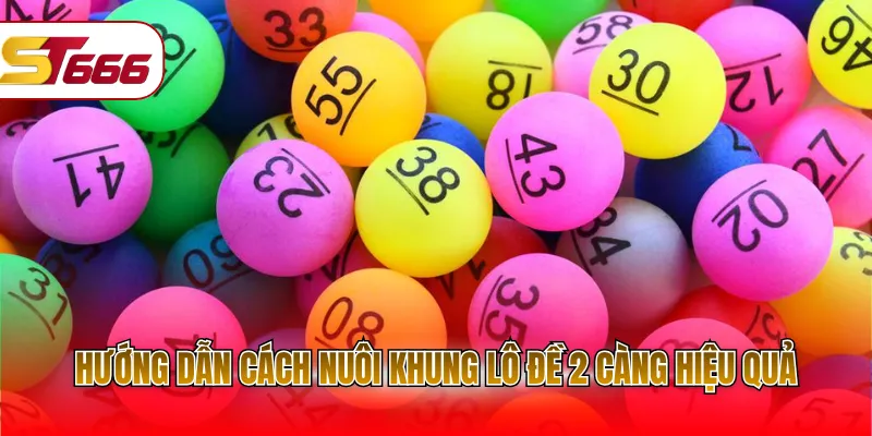 Hướng dẫn cách nuôi khung lô đề 2 càng hiệu quả