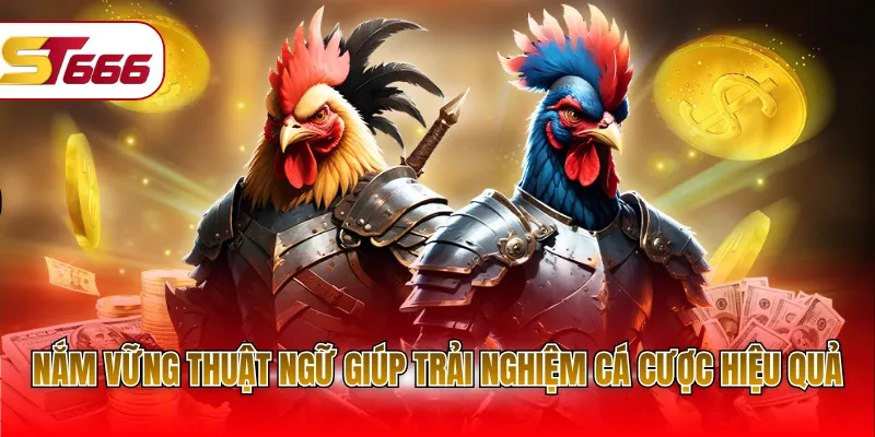Nắm vững thuật ngữ giúp trải nghiệm cá cược hiệu quả