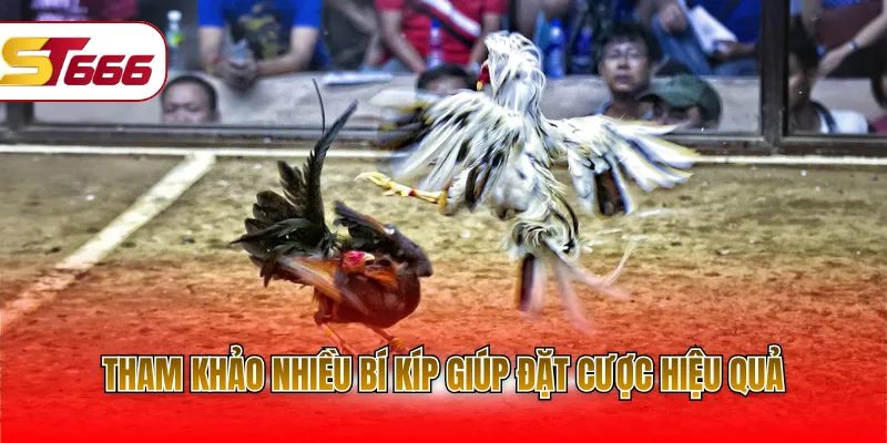 Tham khảo nhiều bí kíp giúp đặt cược hiệu quả