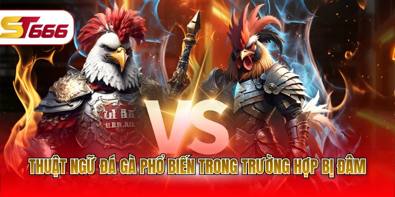 Thuật ngữ đá gà phổ biến trong trường hợp bị đâm