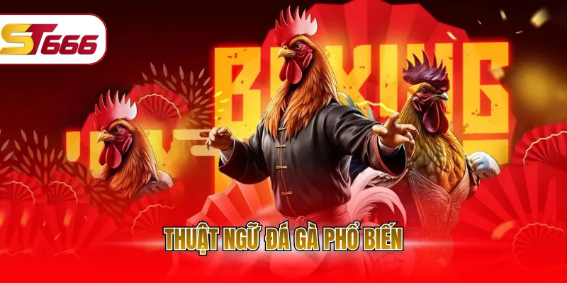 Thuật ngữ đá gà phổ biến